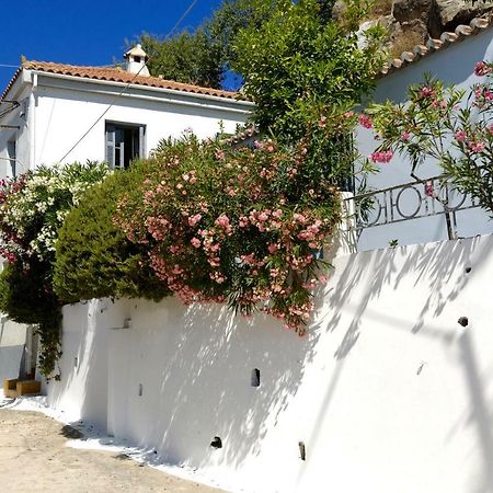 Sto Roloi Island Houses Poros Town Exteriér fotografie